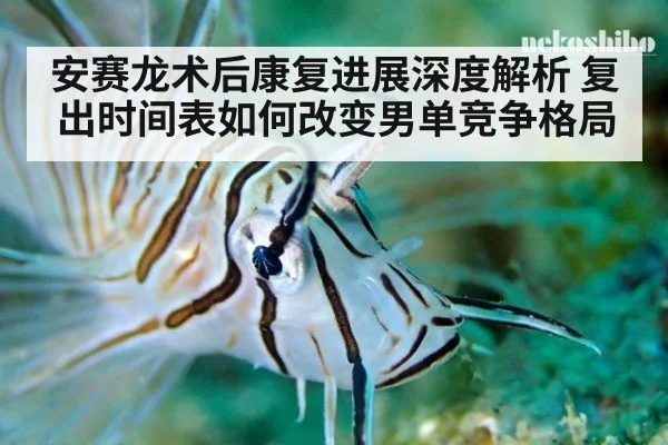 安赛龙术后康复进展深度解析 复出时间表如何改变男单竞争格局
